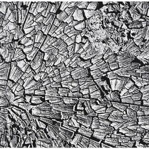 【中古】Mud Day / QN From SIMI LAB（帯なし）