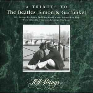 metacyverse_b-cdh-1584