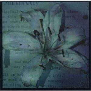 【中古】INFINITELY / A.R.B. （帯あり）