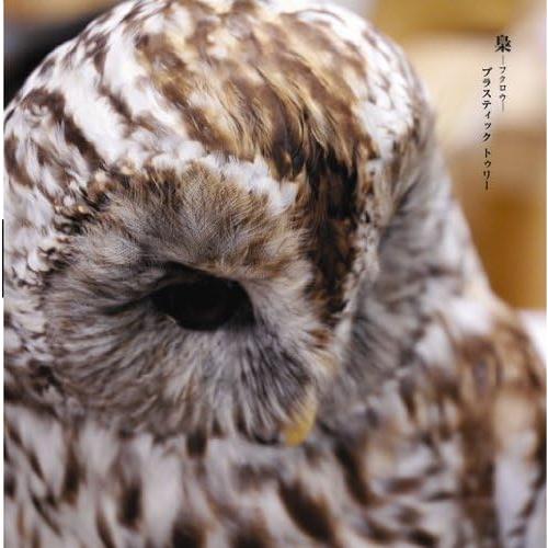 【新品】梟(初回限定盤B)(DVD付) / Plastic Tree