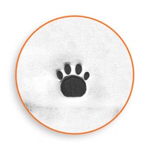 彫金刻印 Paw Print 3mm＊小さい足あと 肉球デザイン　革細工/レザークラフトにも*ImpressArt