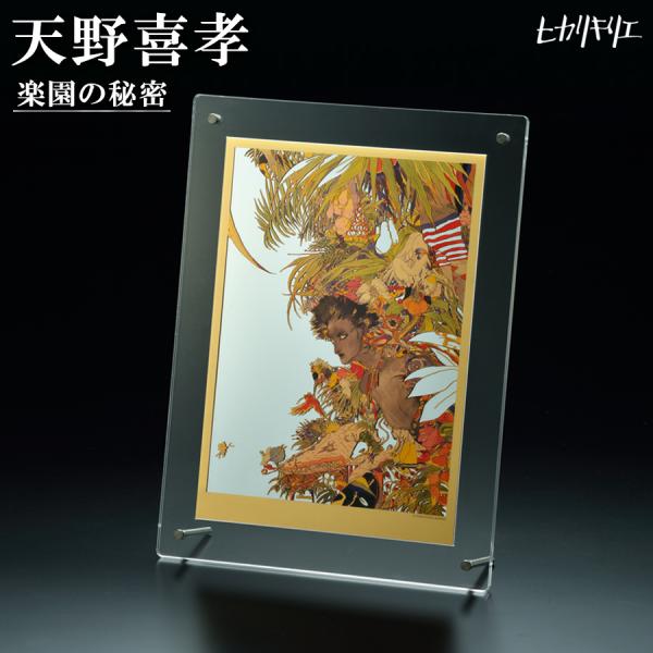 アートミラー ヒカリキリエ 天野喜孝　楽園の秘密　　正規品 グッズ 鏡 幻想的 美しい 飾り 部屋 ...