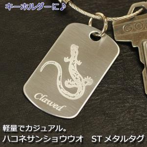ハコネサンショウウオ ST メタルタグ /キーホルダー/ドックタグ/両生類爬虫類グッズ/有尾類/金属雑貨