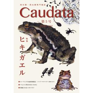 第5号　両生類・爬虫類専門雑誌『Caudata（カウダータ）』特集：ヒキガエル