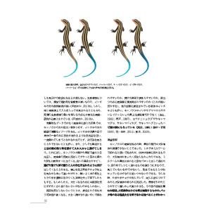 第7号 両生類・爬虫類専門雑誌 Caudata...の詳細画像3