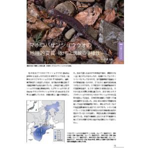 【予約3月19日頃発送予定】第8号 両生類・爬...の詳細画像1