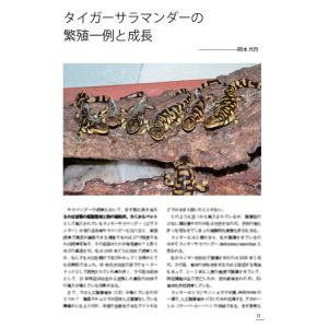 【予約3月19日頃発送予定】第8号 両生類・爬...の詳細画像2