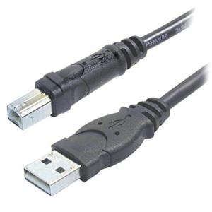 Belkin(ベルキン) 3.0m USB2.0ケーブル F3U133-10INCH Pro Series USB 2.0 Device 平行輸入｜metamarketh