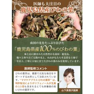 医師監修 びわの葉茶 60包入り 鹿児島県産 ...の詳細画像2