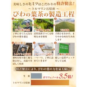 医師監修 びわの葉茶 60包入り 鹿児島県産 ...の詳細画像3