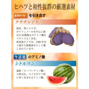 医師監修 ヒハツ サプリ 無農薬 のヒハツ粉末...の詳細画像3