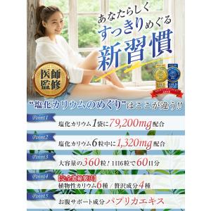 医師監修 カリウム サプリ 塩化カリウム 1袋...の詳細画像1