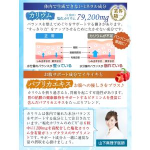 医師監修 カリウム サプリ 塩化カリウム 1袋...の詳細画像2