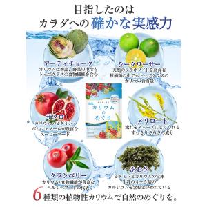 医師監修 カリウム サプリ 塩化カリウム 1袋...の詳細画像3