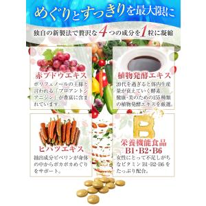 医師監修 カリウム サプリ 塩化カリウム 1袋...の詳細画像4