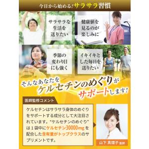 医師監修 国産玉ねぎ ケルセチン サプリ ケル...の詳細画像2