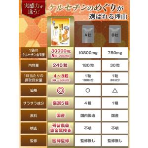 医師監修 国産玉ねぎ ケルセチン サプリ ケル...の詳細画像5