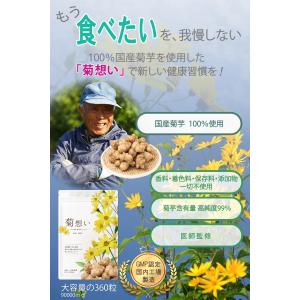 医師監修 菊芋サプリ イヌリン 国産 菊芋10...の詳細画像1