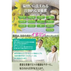 医師監修 菊芋サプリ イヌリン 国産 菊芋10...の詳細画像3
