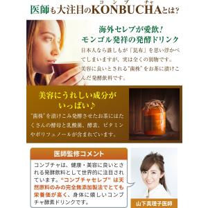 医師監修 コンブチャ セレブ 酵素ドリンク 7...の詳細画像2