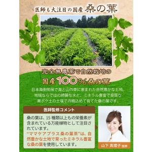 医師監修 桑の葉茶 3g×60包入 国産 桑の...の詳細画像2
