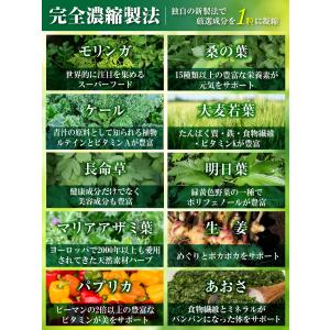 医師監修 スルフォラファン サプリ 国産ブロッ...の詳細画像4