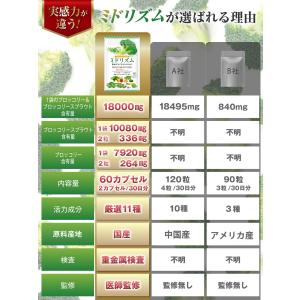 医師監修 スルフォラファン サプリ 国産ブロッ...の詳細画像5