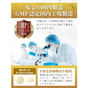 医師監修 チロシン サプリ 48600mg L...の詳細画像4