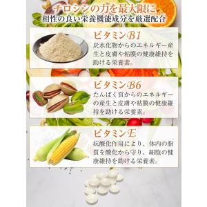 医師監修 チロシン サプリ 48600mg L...の詳細画像4