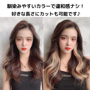 エクステ 2本セット ワンタッチ カラーエクス...の詳細画像1