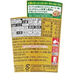 RoiThai ロイタイ グリーンカレーライス...の詳細画像1