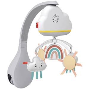 フィッシャープライス(fisher price) 2WAYレインボーシャワーメリー