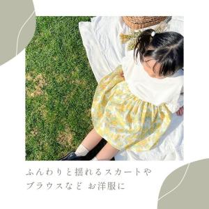生地 花柄 猫 福袋 北欧 無地 和柄 生地屋...の詳細画像5
