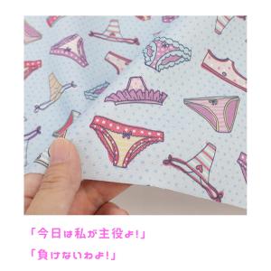 生地 花柄 猫 福袋 北欧 無地 和柄 生地屋...の詳細画像3