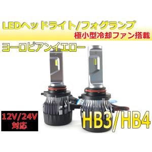 LEDヘッドライト・フォグ HB3/HB4 極小タイプ キャンバス対応 ピュアイエロー 12V/24V対応 ３か月保証【2680】｜mfactory-yashop