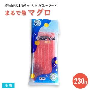 冷凍寿司ネタ 豆腐 納豆 こんにゃく の商品一覧 食品 通販 Yahoo ショッピング