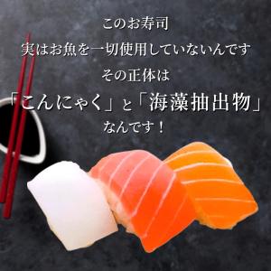 まるで魚シリーズ まるでイカ 230g 冷凍 ...の詳細画像1