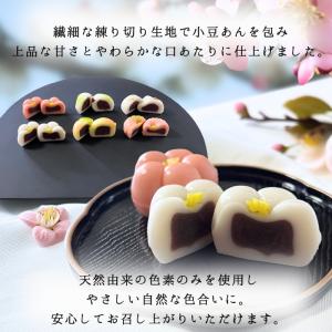 上生菓子 6個入 冷凍 季節の和菓子 練り切り...の詳細画像2