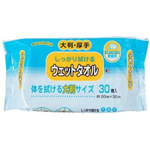 ストリックスデザイン 体拭きシート しっかり拭ける ウェットタオル 30枚 白 約20×30cm 日本製 大判 厚手 肌にやさしい 無香料 ノン