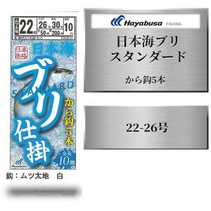Hayabusa（ハヤブサ） 釣り具 数量限定 サビキ仕掛け 日本海ブリ