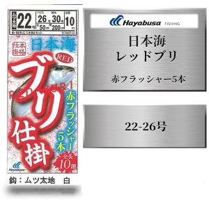 Hayabusa 釣り具 ハヤブサ 数量限定 サビキ仕掛け 日本海ブリ Hayabusa 釣り具 ハヤブサ 数量限定 サビキ仕掛け 日本海ブリ