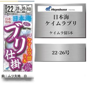 Hayabusa 釣り具 ハヤブサ 数量限定 サビキ仕掛け 日本海ブリ Hayabusa 釣り具 ハヤブサ 数量限定 サビキ仕掛け 日本海ブリ