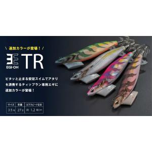 DAIWA（ダイワ） フィッシュリーグ エギリー・ダートマックス 30g-BK