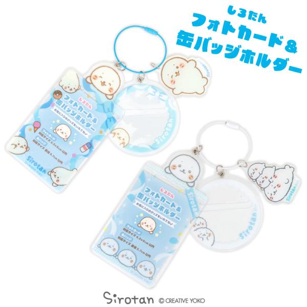 しろたん フォト＆バッジホルダ― 〔単品〕 水色 白色 トレカファイル トレカフォルダー 缶バッジ ...