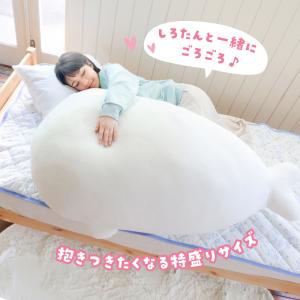 〔ネット店限定〕 しろたん 抱き枕 ぬいぐるみ...の詳細画像5