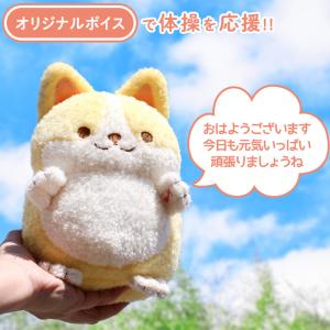セールSALE 一緒に体操! 元気なコーギーち...の詳細画像1