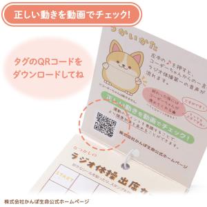 セールSALE 一緒に体操! 元気なコーギーち...の詳細画像4