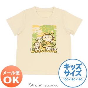 Tシャツ キッズ 半袖 しろたん しろたんの大冒険柄 クリーム色 100cm 120cm 140cm 子供 キッズサイズ 子供用 Tシャツ