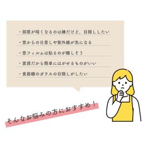 切り売り 窓飾りシート 窓シート 窓フィルム ...の詳細画像2