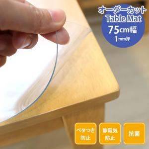 明和グラビア 切り売り 透明 テーブルクロス キズ防止 防水 ビニール